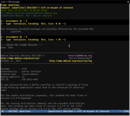DSA applicable, no GPG check